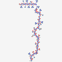 SMILES Structure