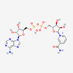 SMILES Structure