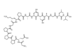SMILES Structure