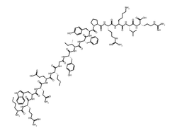 SMILES Structure