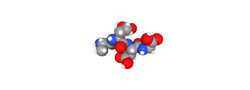 SMILES Structure